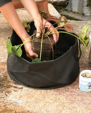 Aquascape Pond Plants 14 Inch Round x 7 Inch Deep (2 pack) Aquascape Aquatic Plant Pot Round